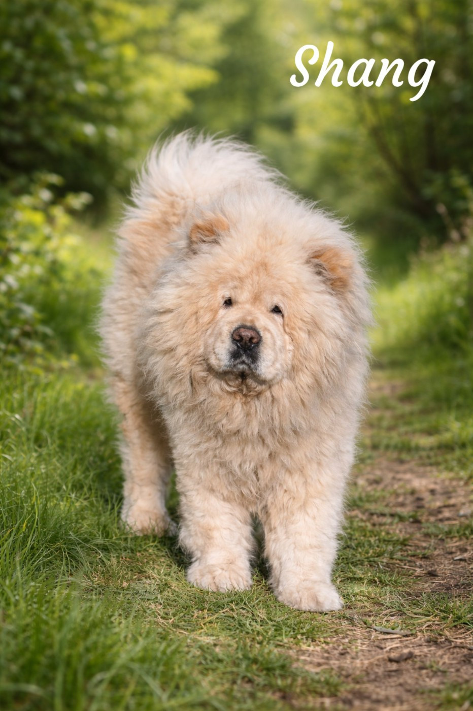 U'Shang Du Domaine De Lu Ti