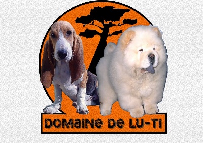 Du Domaine De Lu Ti